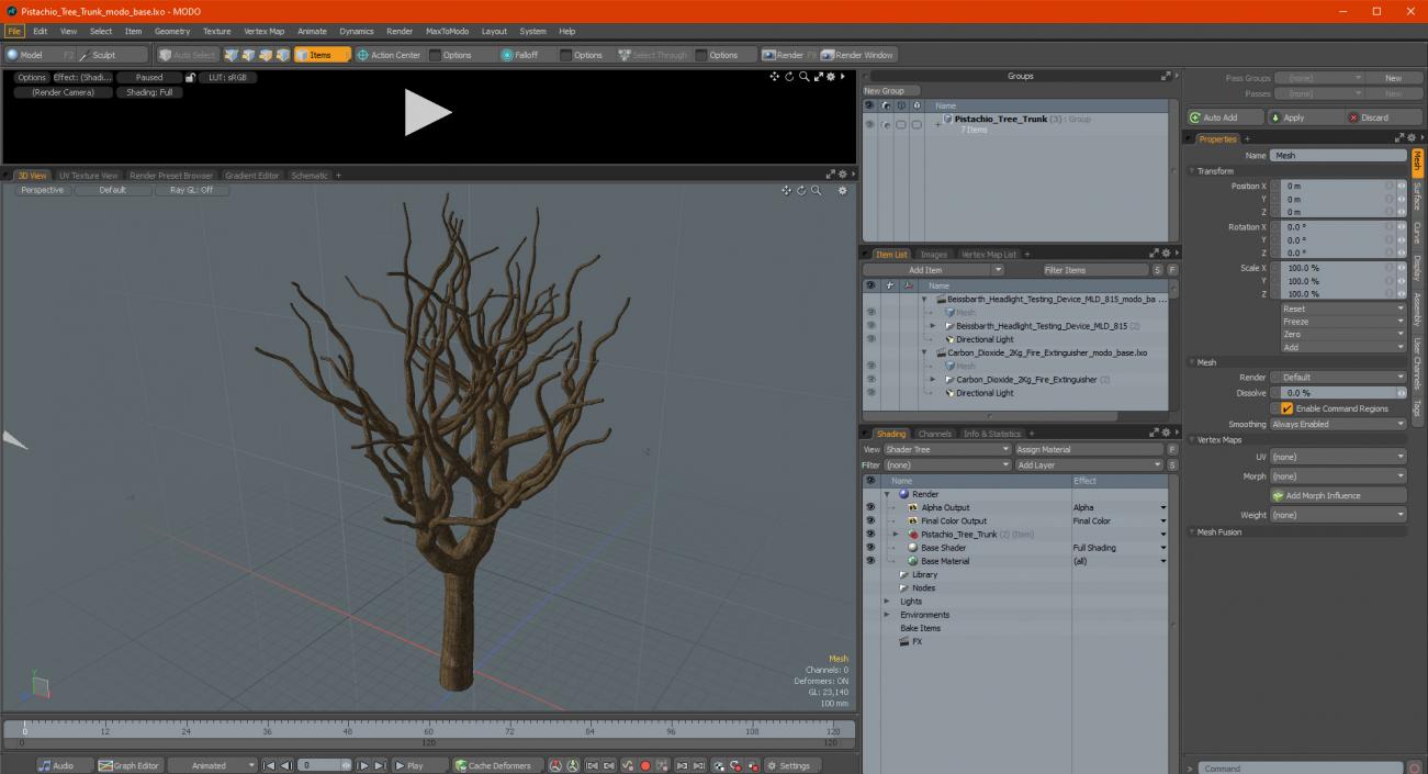 3D model Pistachio Tree Trunk