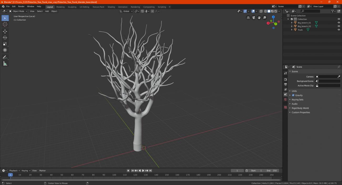 3D model Pistachio Tree Trunk