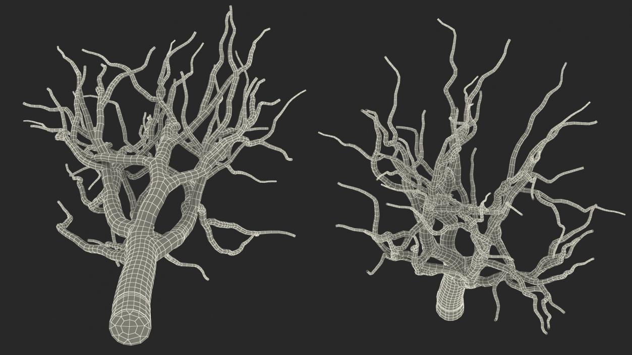 3D model Pistachio Tree Trunk