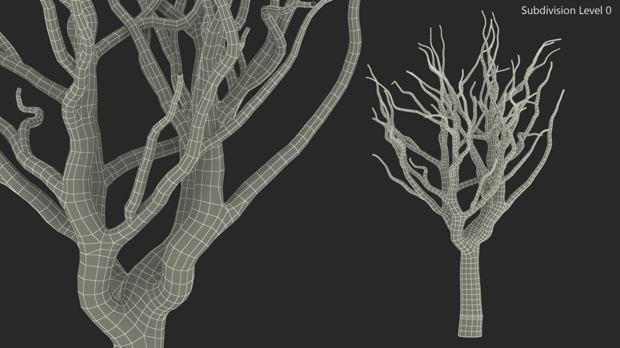 3D model Pistachio Tree Trunk