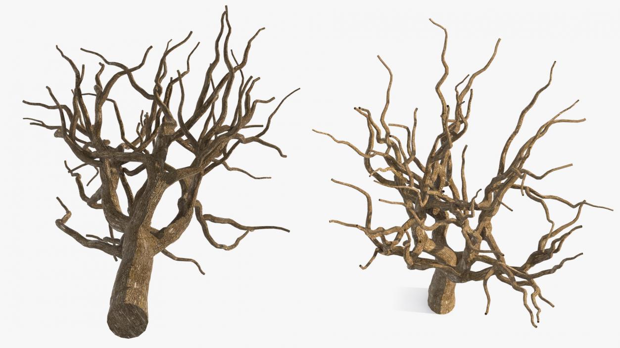 3D model Pistachio Tree Trunk