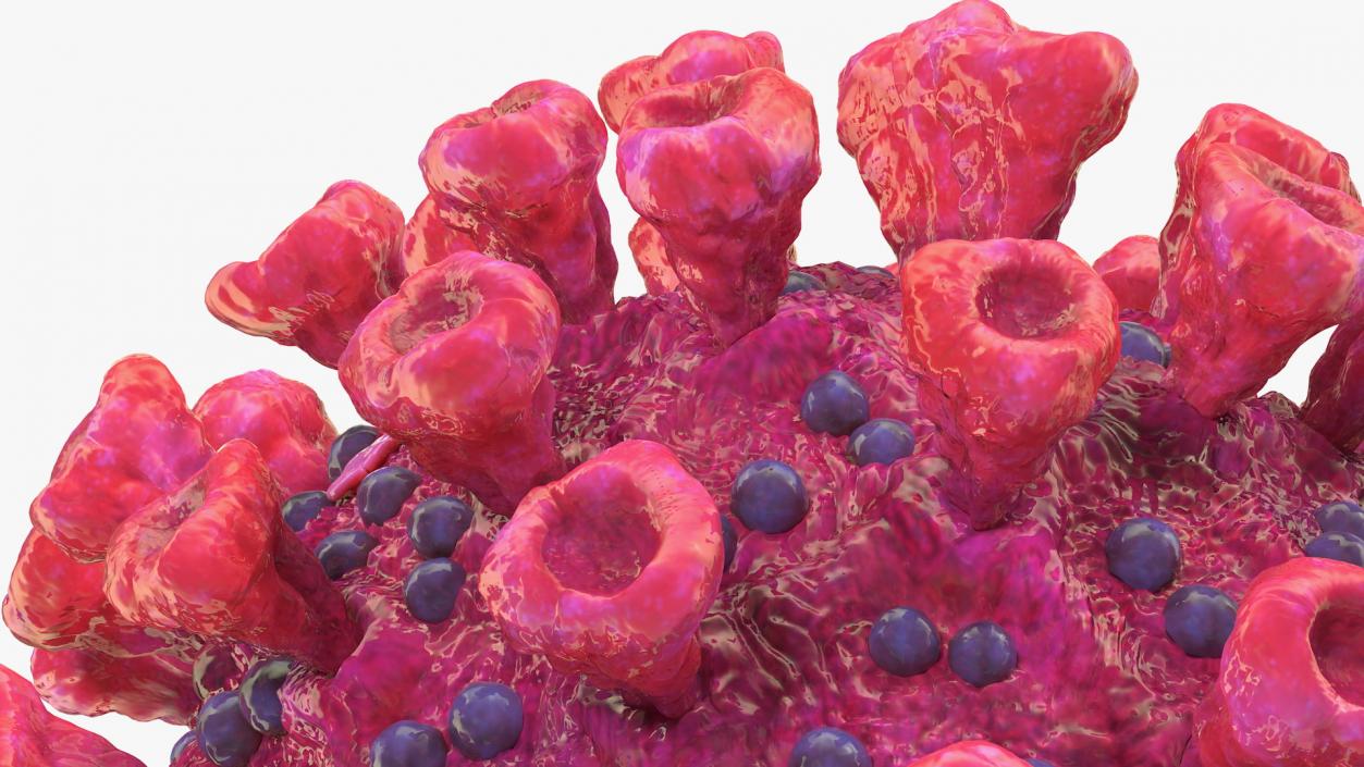 Coronavirus 2019-nCoV Collection 3D