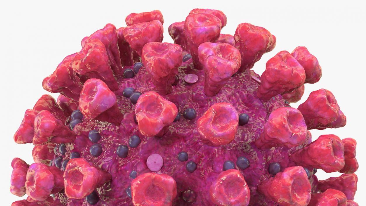 Coronavirus 2019-nCoV Collection 3D