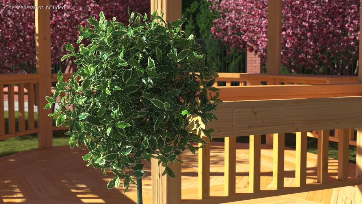 3D model Holly Pot Plant