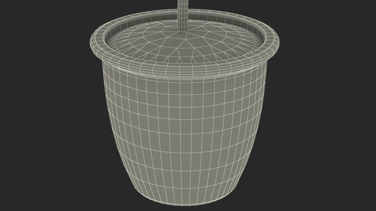 3D model Holly Pot Plant