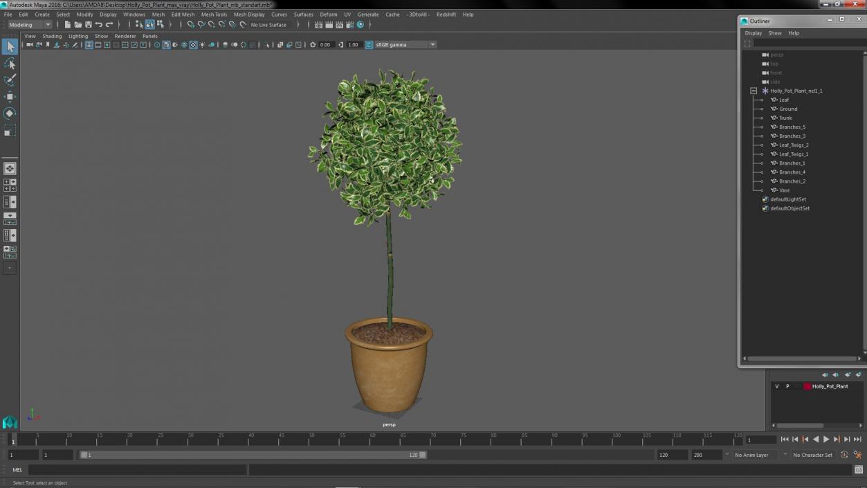 3D model Holly Pot Plant