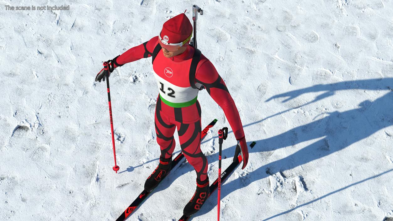 Biathlon Equipment Set 3D