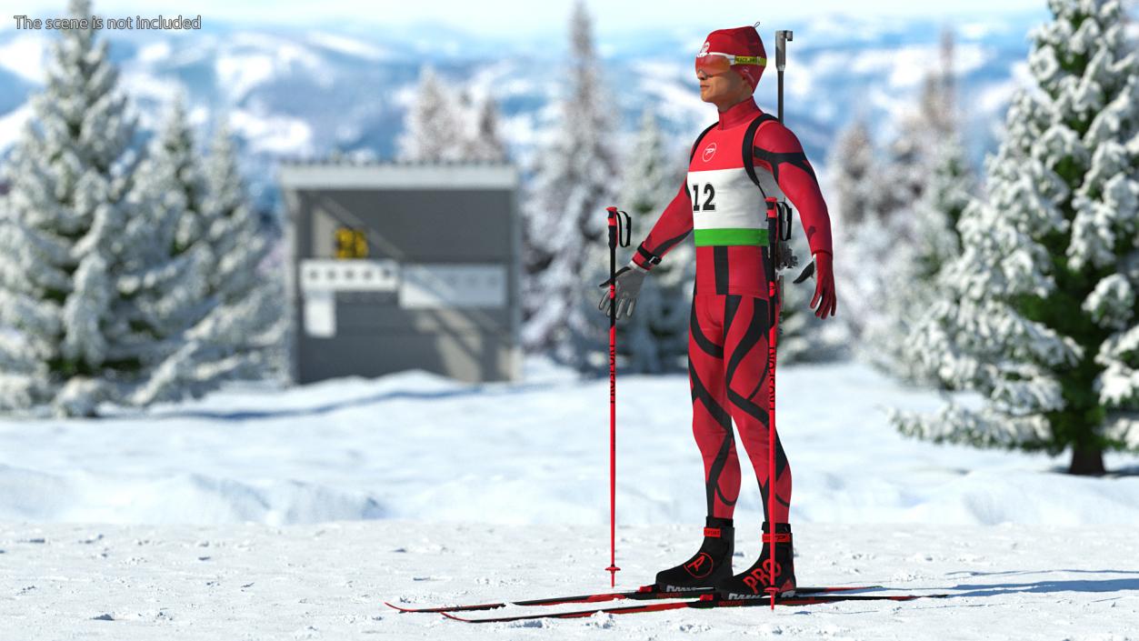 Biathlon Equipment Set 3D