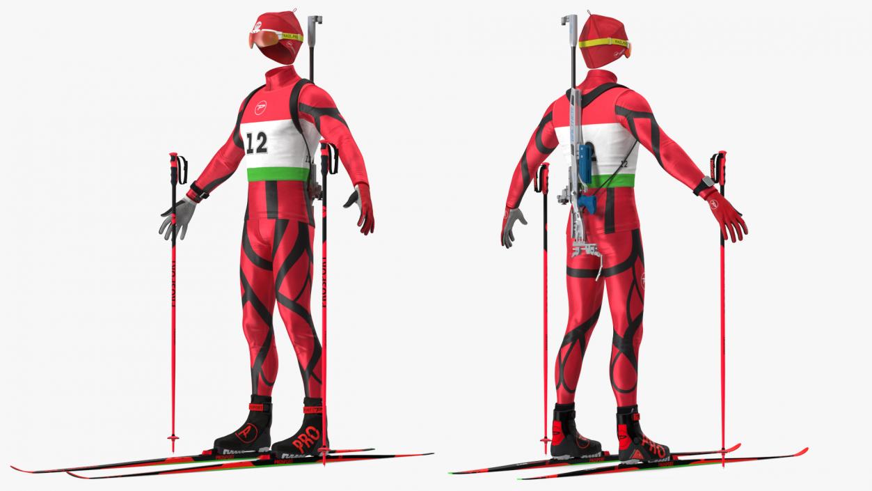 Biathlon Equipment Set 3D