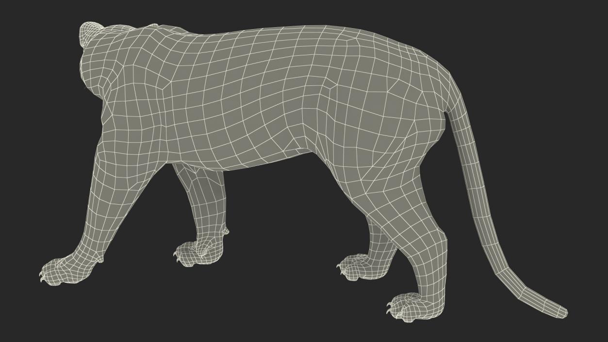 3D Black Panther Walking Pose