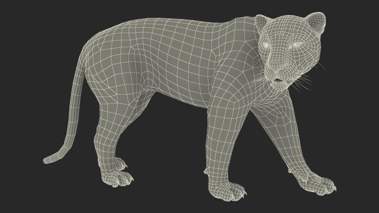 3D Black Panther Walking Pose