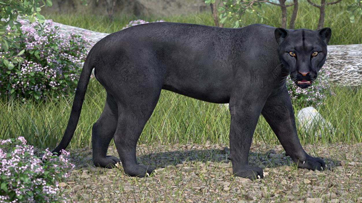 3D Black Panther Walking Pose