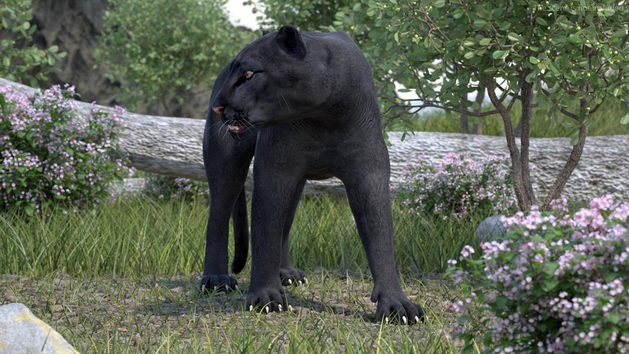 3D Black Panther Walking Pose