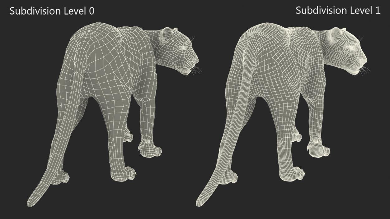 3D Black Panther Walking Pose