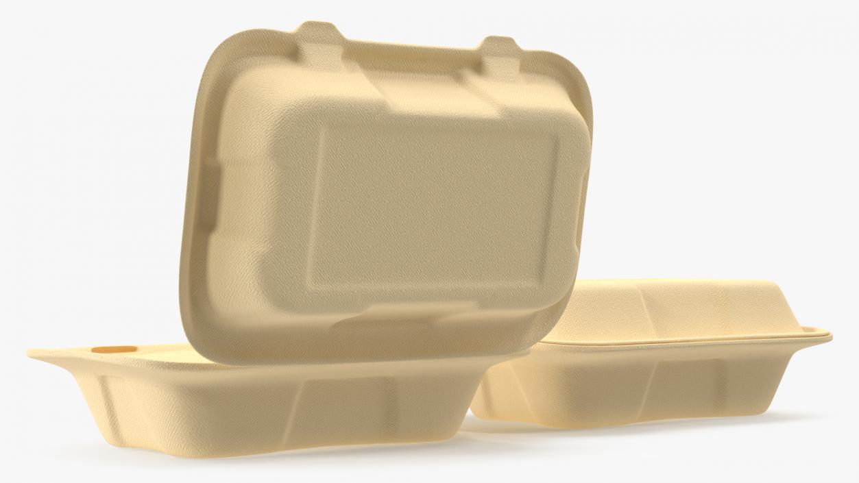 3D Bagasse Container Set