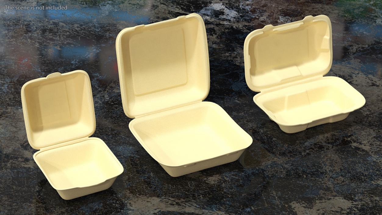 3D Bagasse Container Set