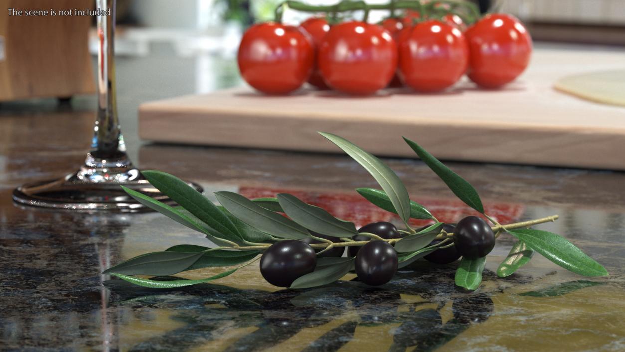 3D Olive Branch with Black Olives Lying