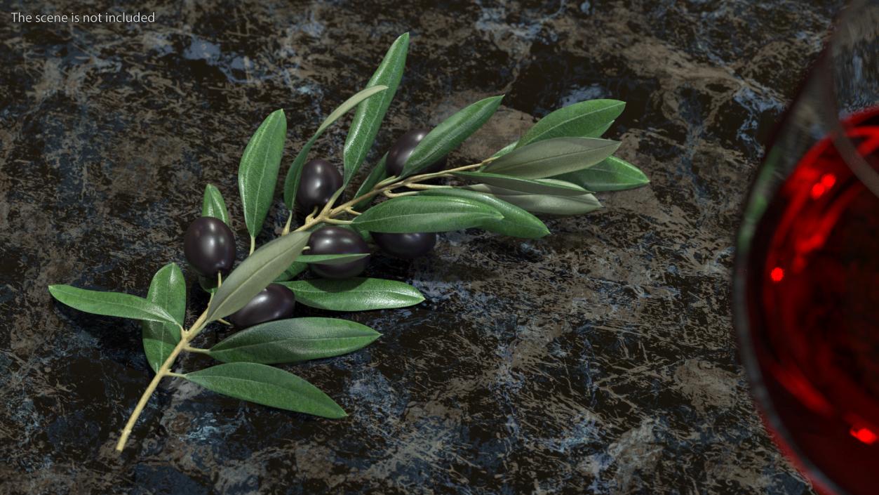 3D Olive Branch with Black Olives Lying