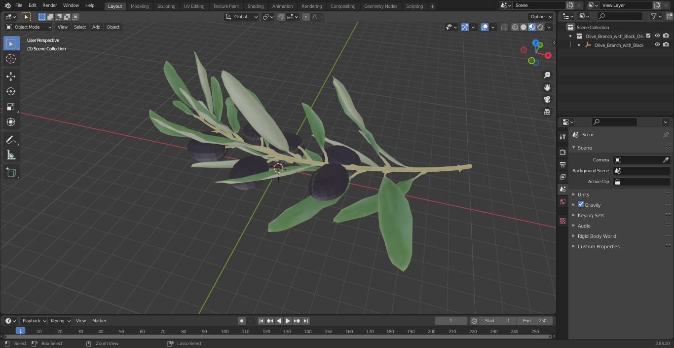 3D Olive Branch with Black Olives Lying