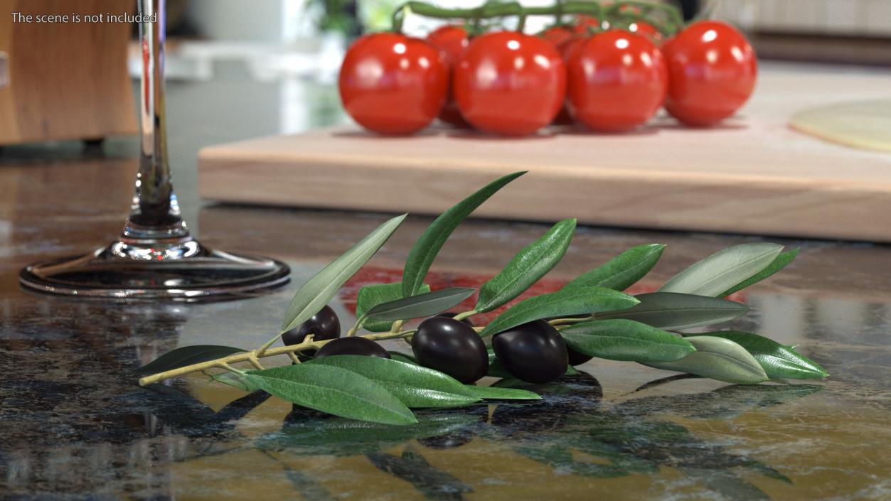 3D Olive Branch with Black Olives Lying