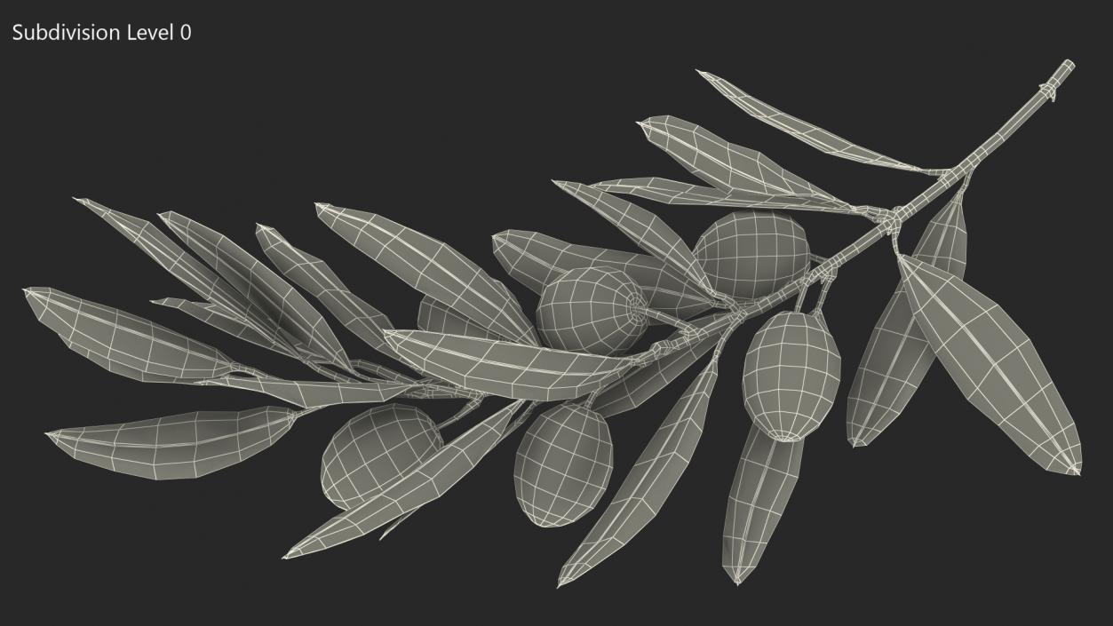 3D Olive Branch with Black Olives Lying