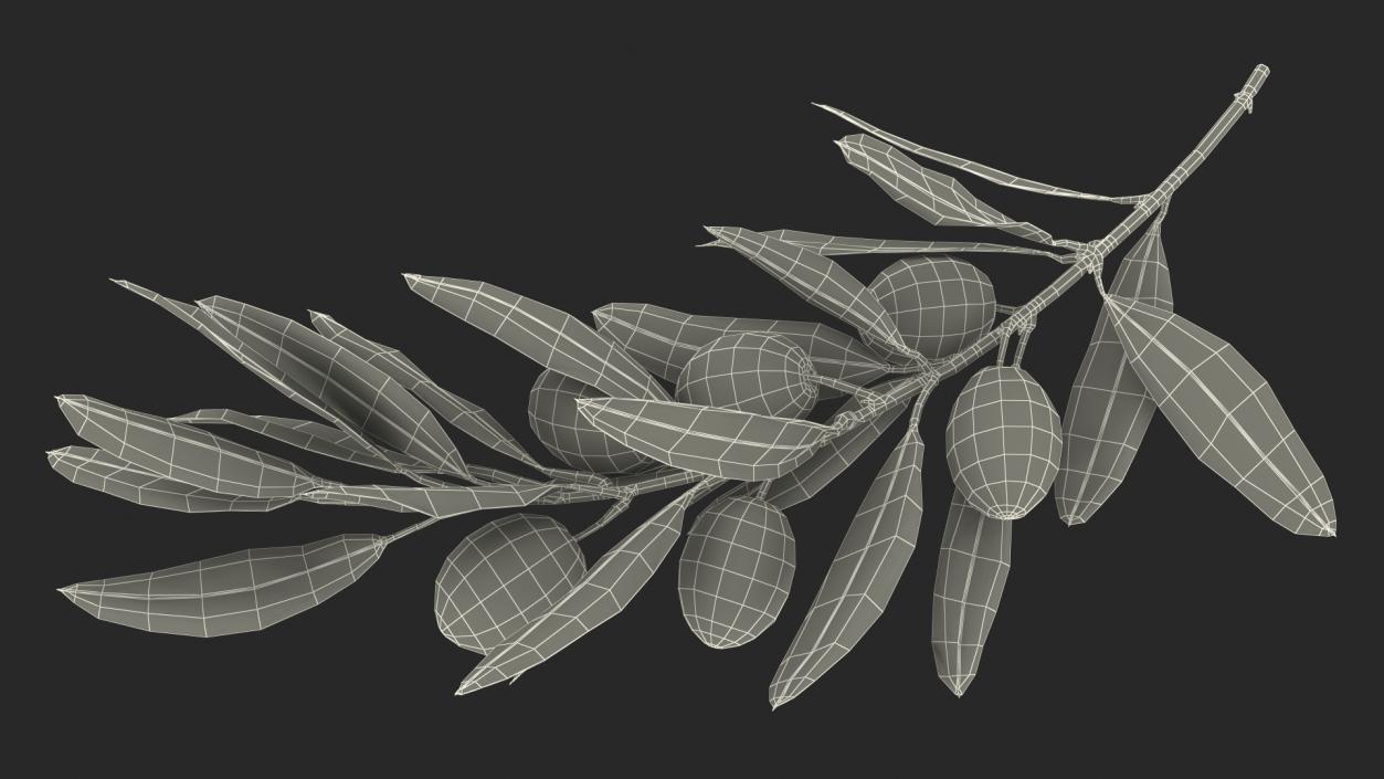 3D Olive Branch with Black Olives Lying