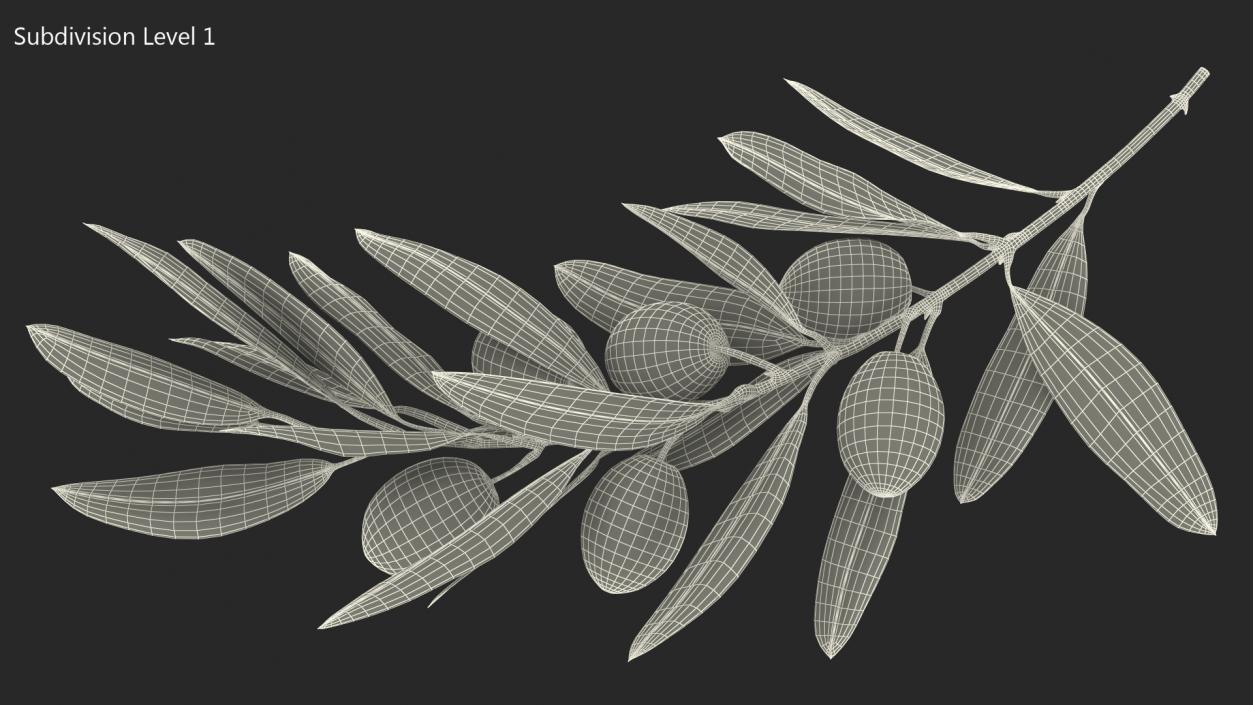 3D Olive Branch with Black Olives Lying