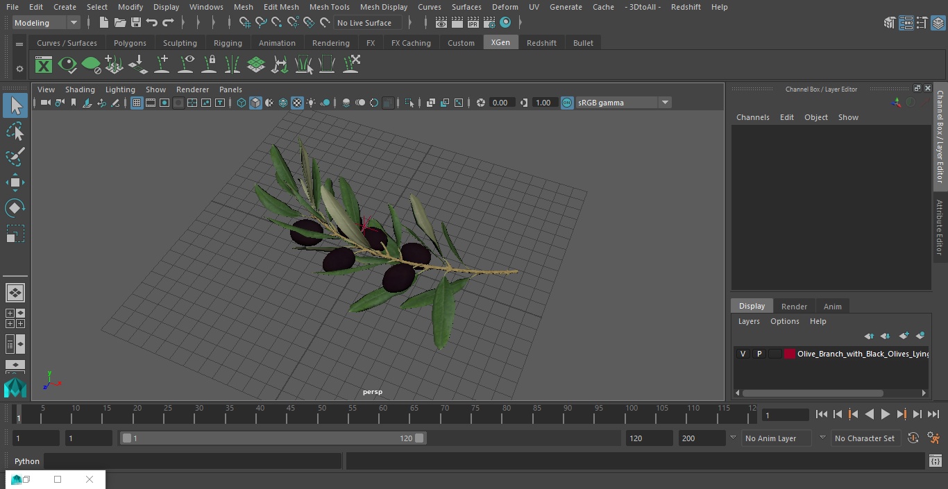 3D Olive Branch with Black Olives Lying