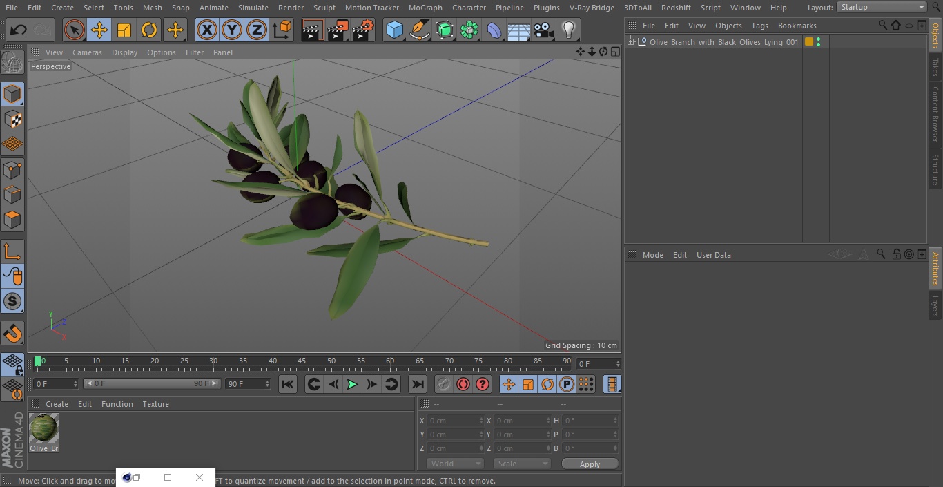 3D Olive Branch with Black Olives Lying