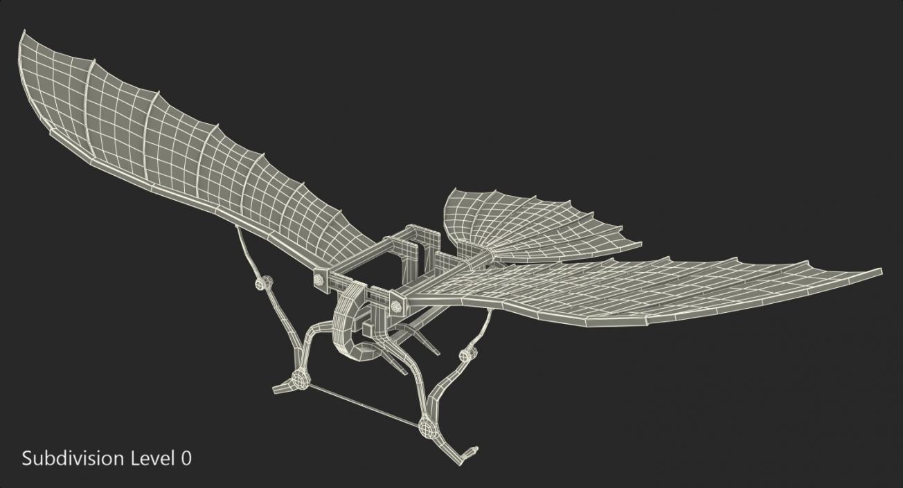 Leonardo Da Vinci Flying Machine Rigged 3D model