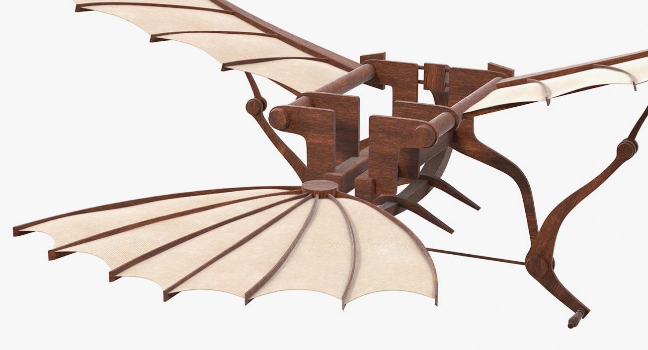 Leonardo Da Vinci Flying Machine Rigged 3D model