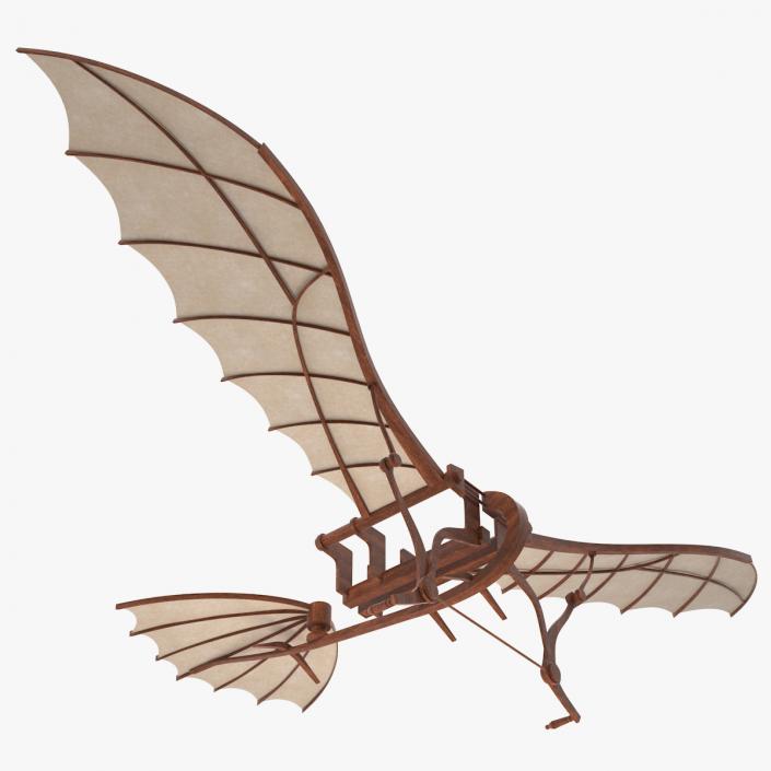 Leonardo Da Vinci Flying Machine Rigged 3D model