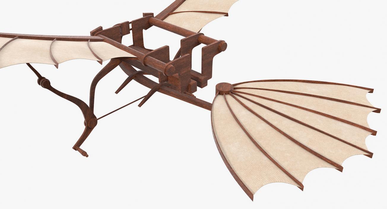 Leonardo Da Vinci Flying Machine Rigged 3D model