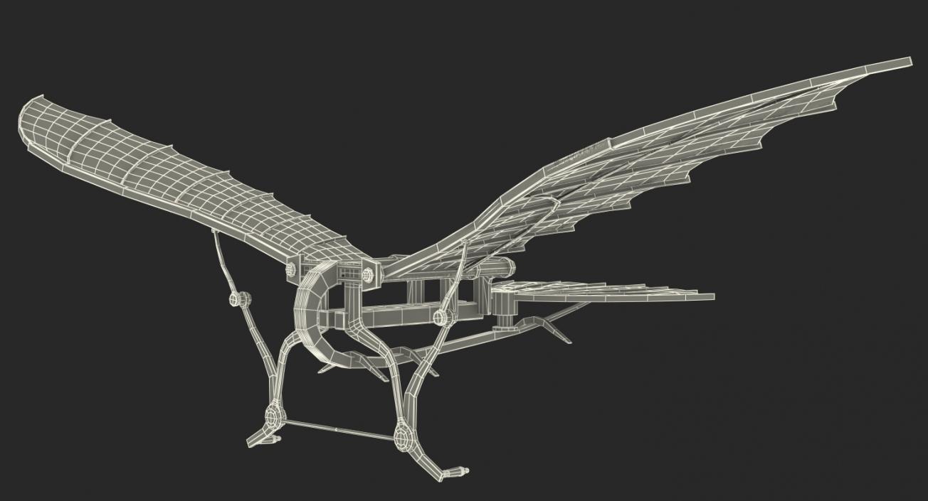 Leonardo Da Vinci Flying Machine Rigged 3D model