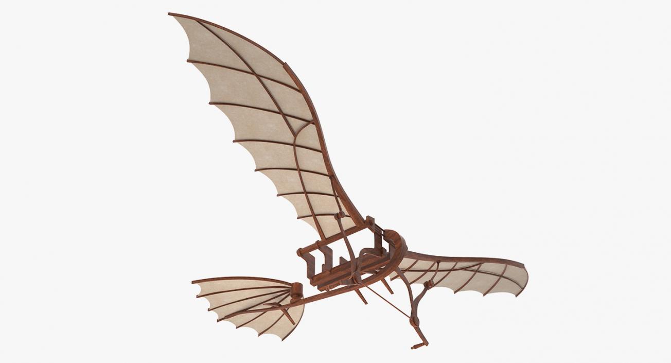 Leonardo Da Vinci Flying Machine Rigged 3D model