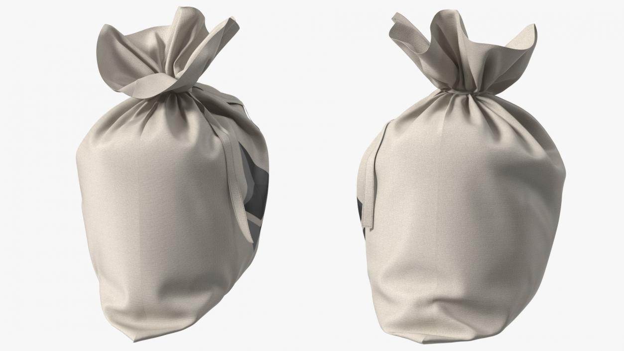 3D Money Bag Ethereum model