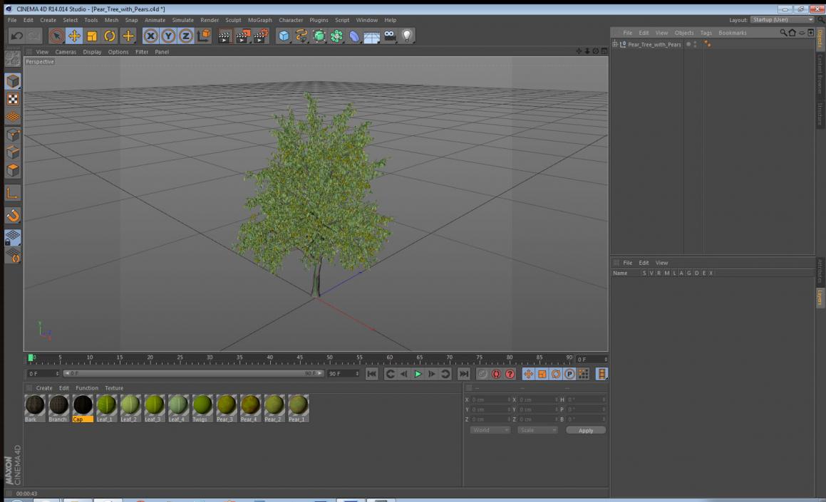 3D model Pear Tree with Pears