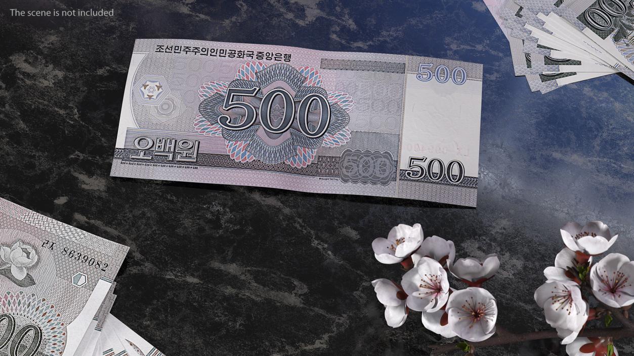 North Korea Banknotes Bundles Collection 5 3D