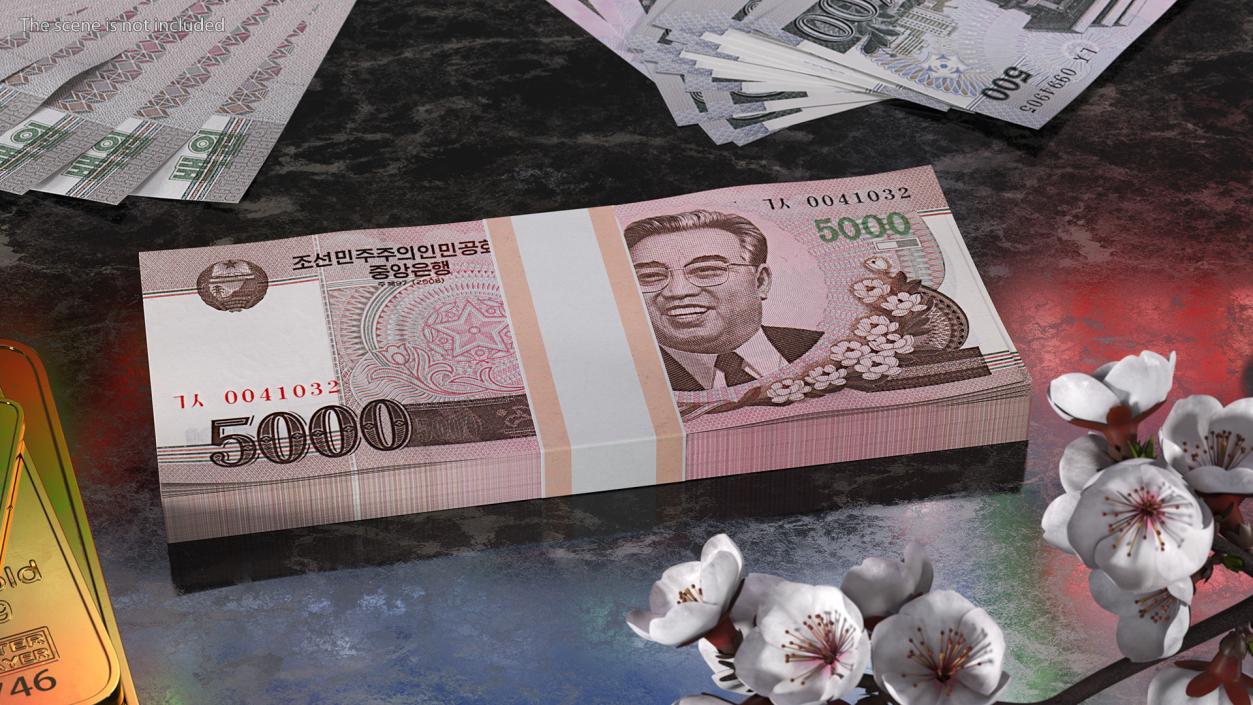 North Korea Banknotes Bundles Collection 5 3D