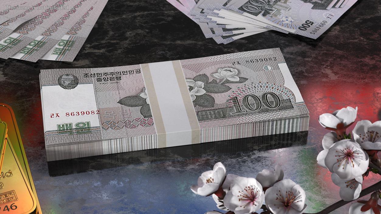 North Korea Banknotes Bundles Collection 5 3D