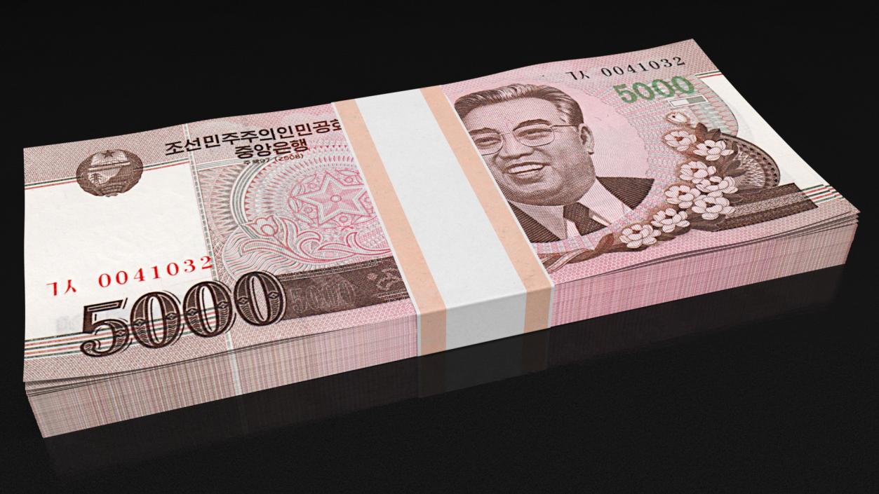 North Korea Banknotes Bundles Collection 5 3D