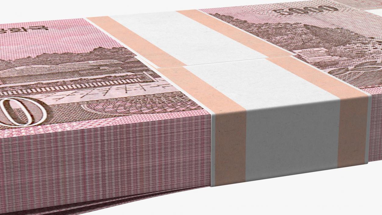 North Korea Banknotes Bundles Collection 5 3D