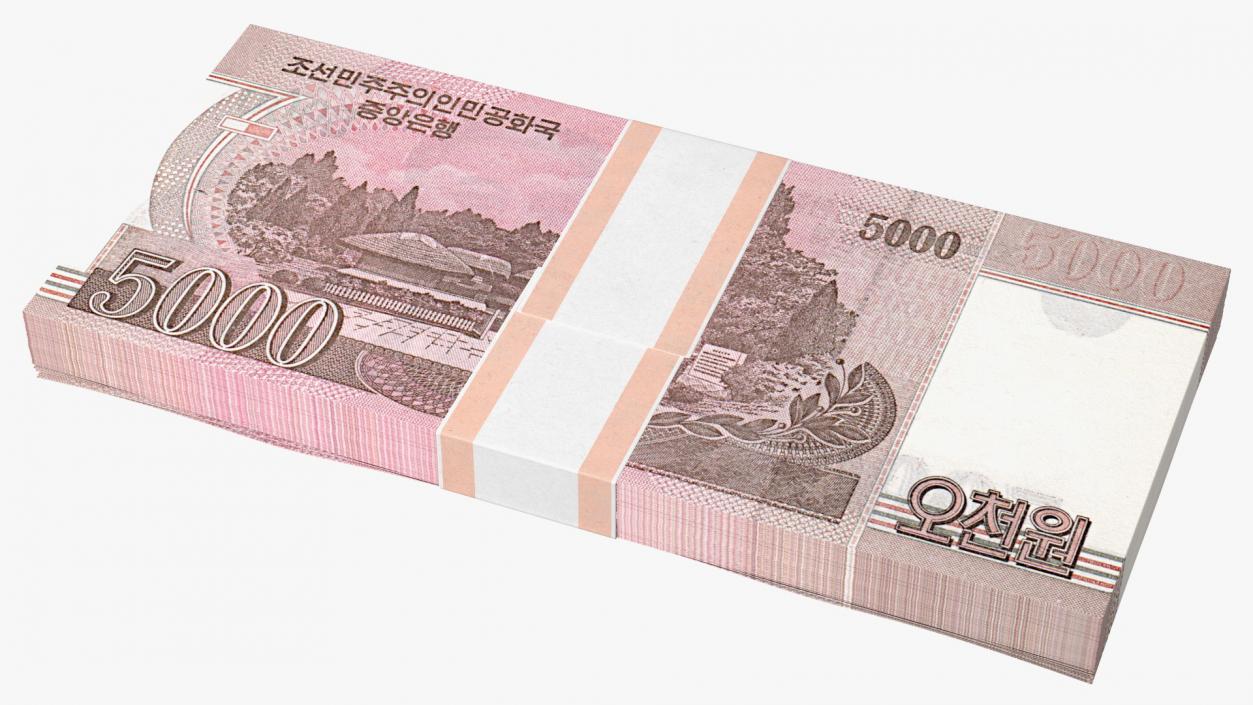 North Korea Banknotes Bundles Collection 5 3D