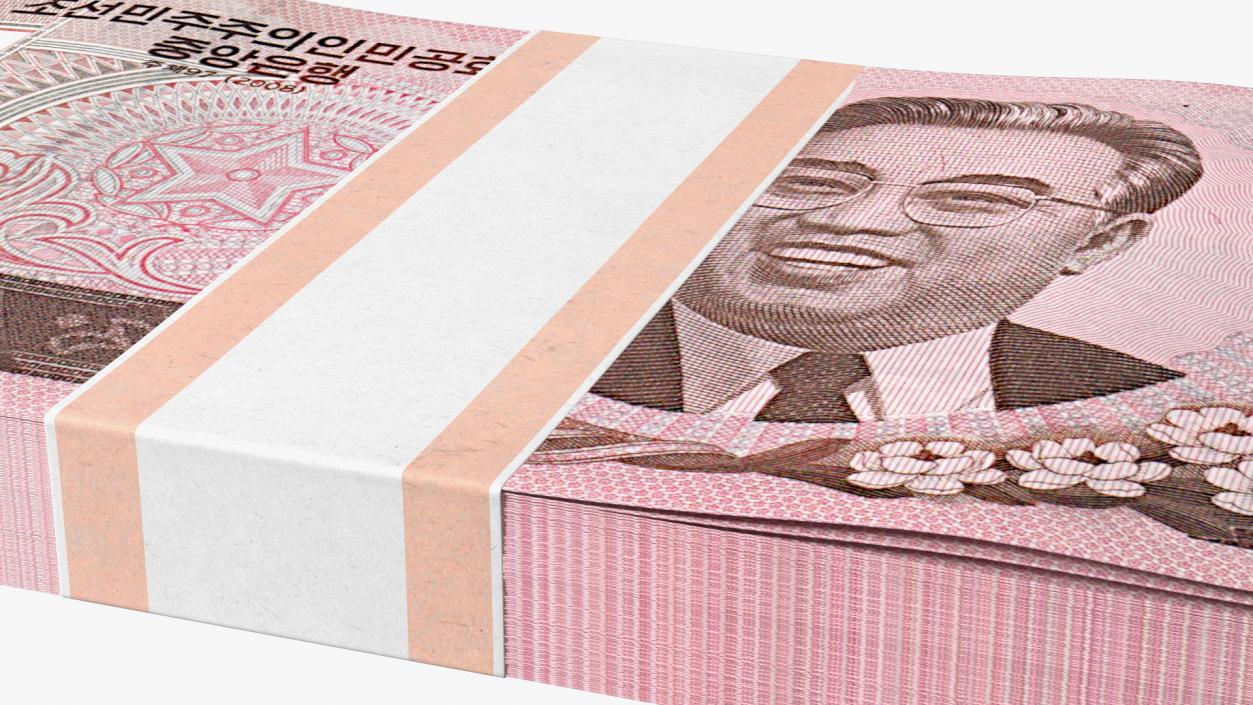 North Korea Banknotes Bundles Collection 5 3D