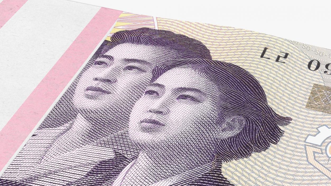 North Korea Banknotes Bundles Collection 5 3D