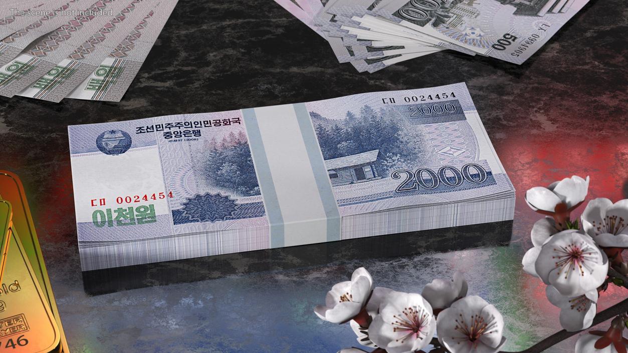 North Korea Banknotes Bundles Collection 5 3D