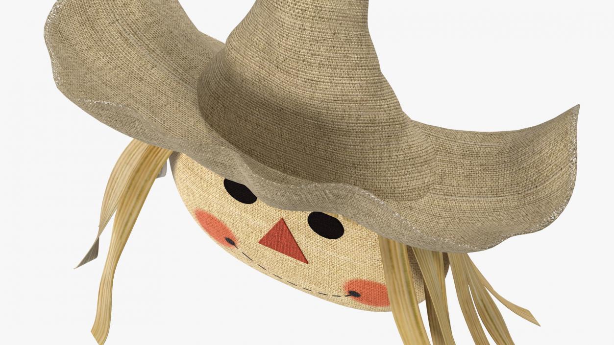 Scarecrow Head 3D model