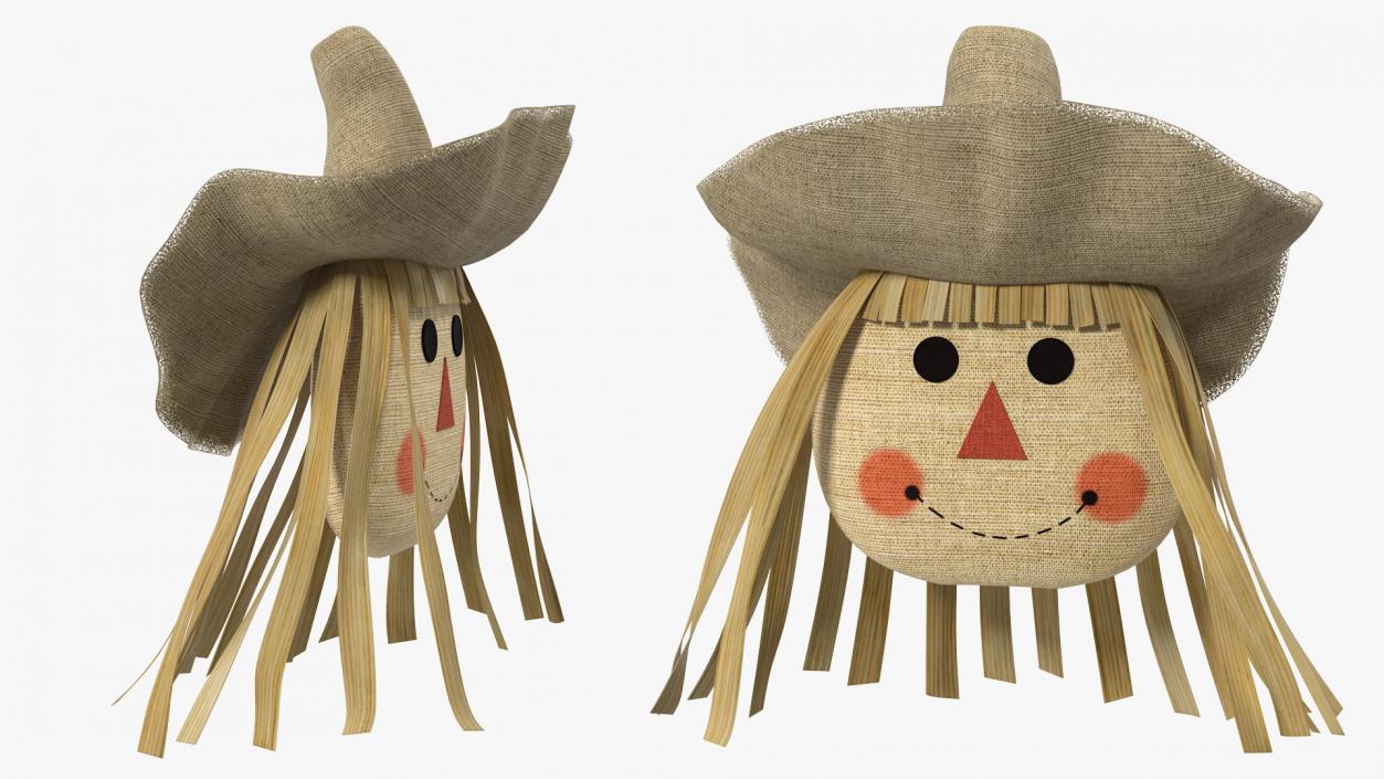 Scarecrow Head 3D model