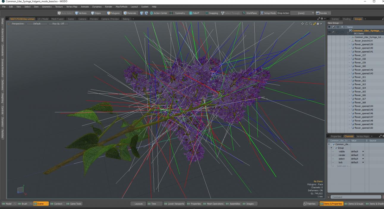 Common Lilac Syringa Vulgaris 3D model