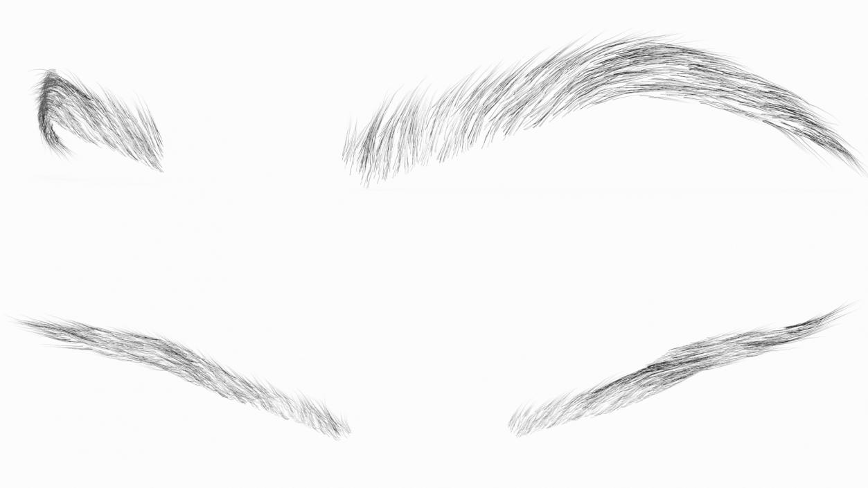 Arched Eyebrows 2 3D